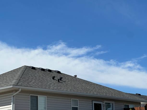 Asphalt Shingles Roofing in Linntown, PA